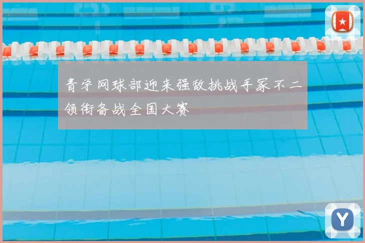 青学网球部迎来强敌挑战手冢不二领衔备战全国大赛