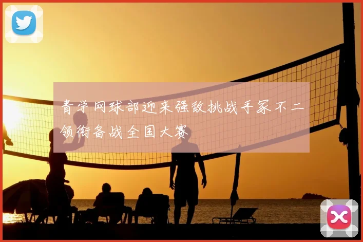 青学网球部迎来强敌挑战手冢不二领衔备战全国大赛