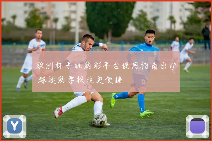 欧洲杯手机购彩平台使用指南出炉 球迷购票投注更便捷
