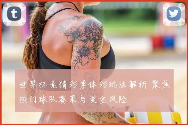 世界杯竞猜彩票体彩玩法解析 聚焦热门球队赛果与奖金风险