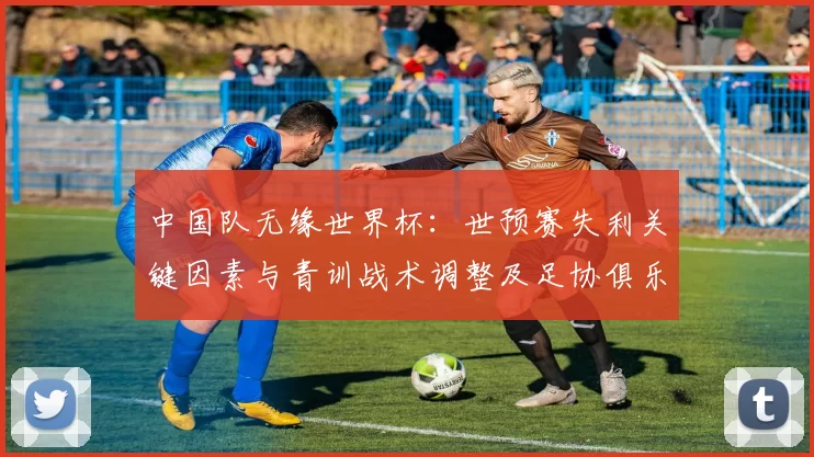 中国队无缘世界杯：世预赛失利关键因素与青训战术调整及足协俱乐部应对