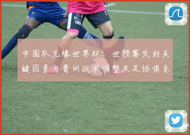 中国队无缘世界杯：世预赛失利关键因素与青训战术调整及足协俱乐部应对