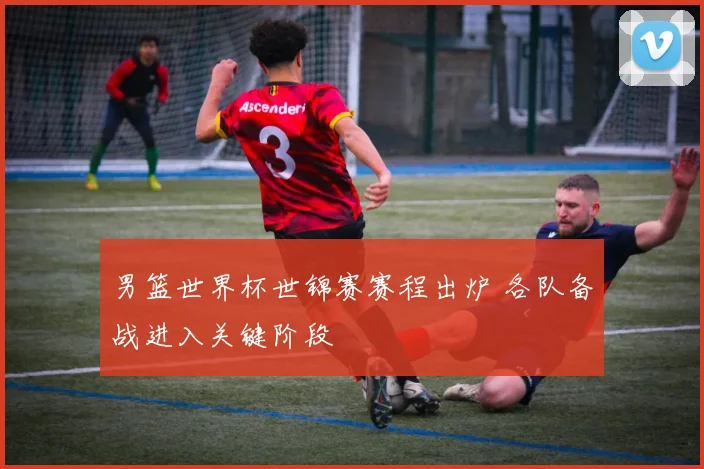 男篮世界杯世锦赛赛程出炉 各队备战进入关键阶段