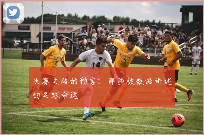 决赛之路的预言:那些被数据讲述的足球命运