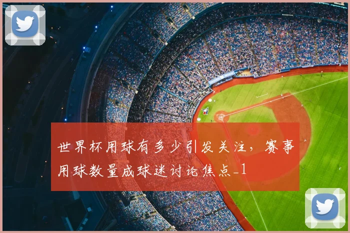 世界杯用球有多少引发关注，赛事用球数量成球迷讨论焦点_1